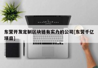 东营开发定制区块链有实力的公司[东营千亿项目]